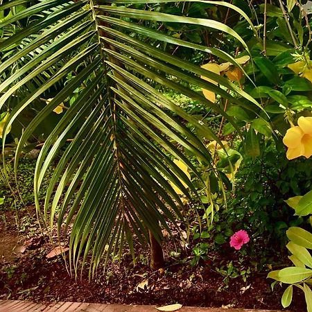 Stan-Inn, North Goa, Vagator, With Strong Wifi,Free Private Parking & Kitchen, Can Cook Where You Stay Kültér fotó