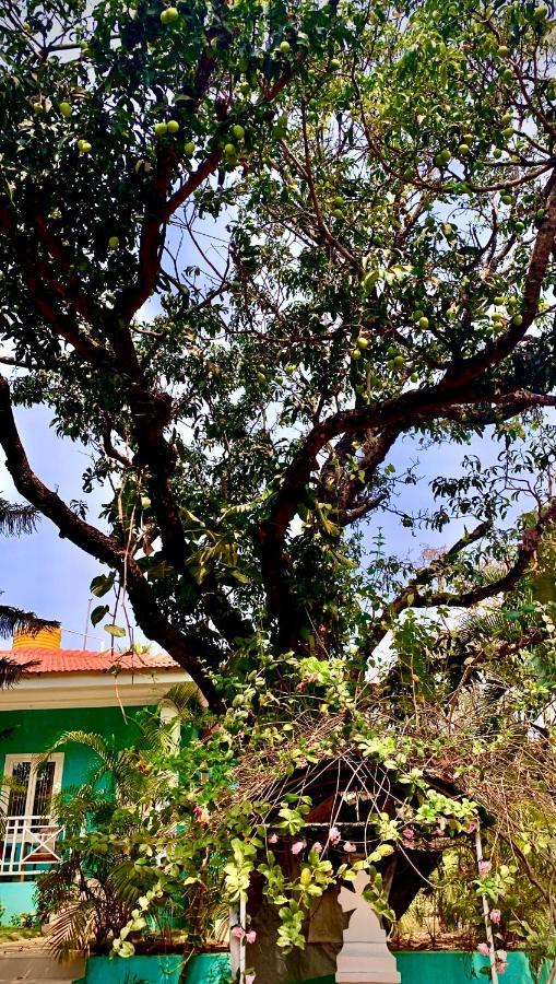 Stan-Inn, North Goa, Vagator, With Strong Wifi,Free Private Parking & Kitchen, Can Cook Where You Stay Kültér fotó